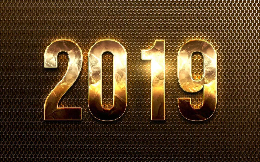 �̵㸢�Ǽ��2019��ȡ��ؼ��ʡ�