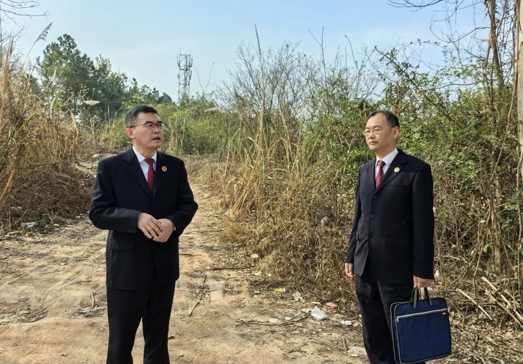 ���С�һ�߹�������ح��쳤��Ѳ��+�������顱 ������̬������������
